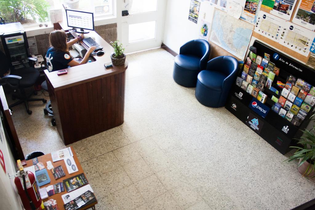 Hostel Hospedarte Chapultepec Guadalajara Extérieur photo